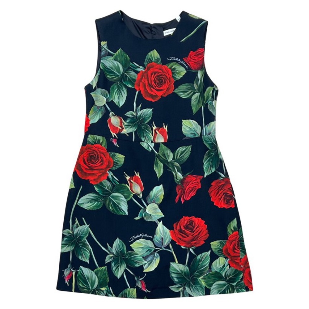Rose Print Dress